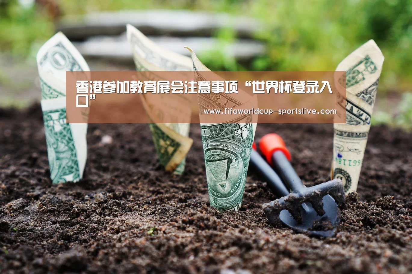 香港参加教育展会注意事项“世界杯登录入口”(图4) 世界杯高清直播