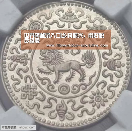 世界杯登录入口|乡村振兴,用好脱贫经验(图2) 世界杯高清直播