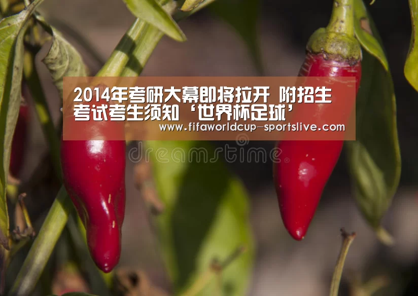 2014年考研大幕即将拉开 附招生考试考生须知‘世界杯足球’(图1) 世界杯电竞竞猜