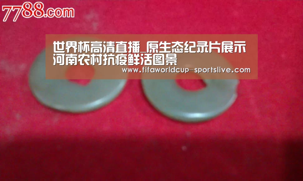 世界杯高清直播_原生态纪录片展示河南农村抗疫鲜活图景(图3) 世界杯登录入口